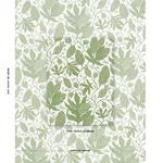 Schumacher 181652 Polka Dot Jungle Green & Ivory fabric swatch