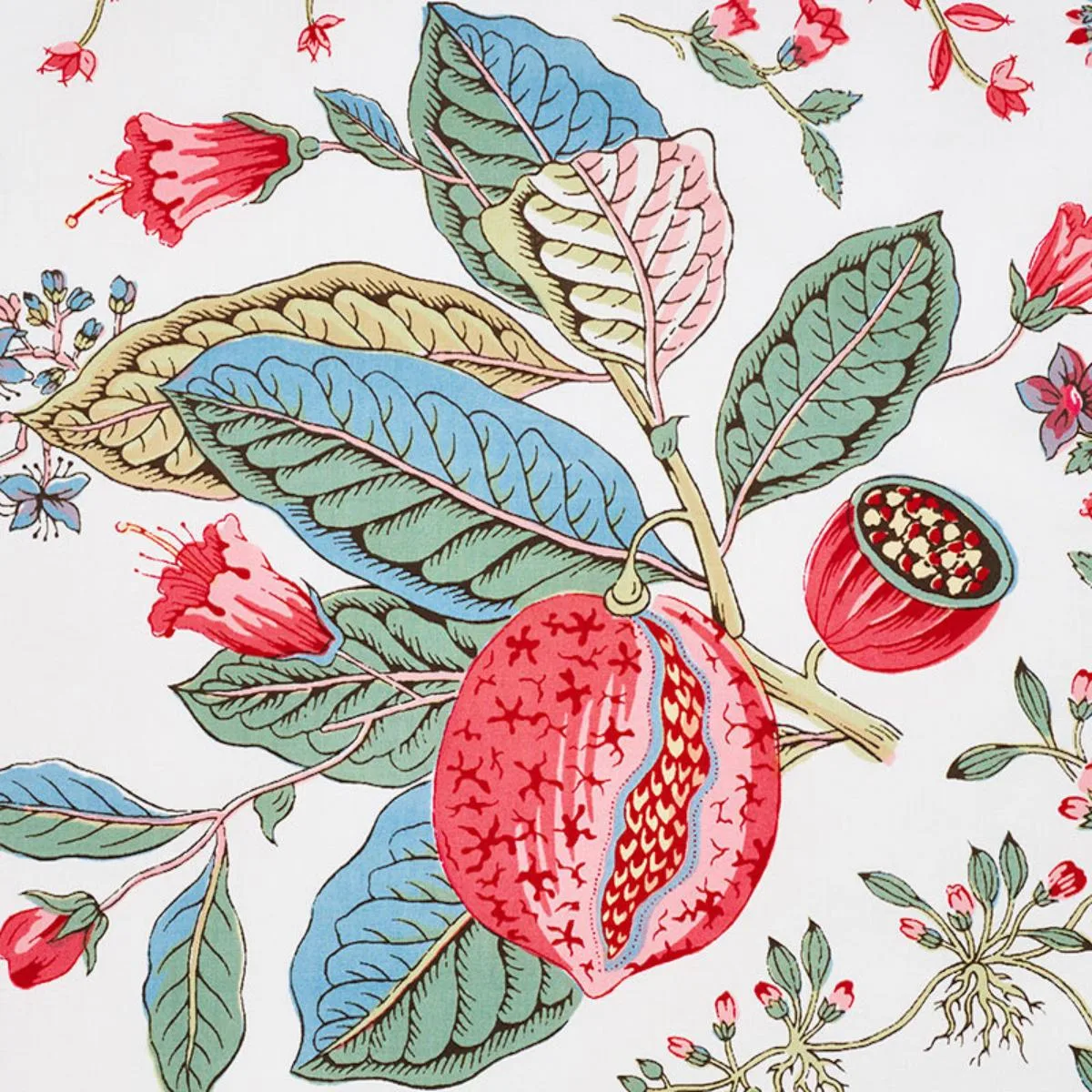 Schumacher 178121 Pomegranate Botanical Document fabric swatch
