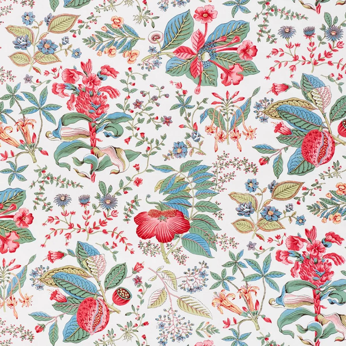 Schumacher 178121 Pomegranate Botanical Document fabric swatch