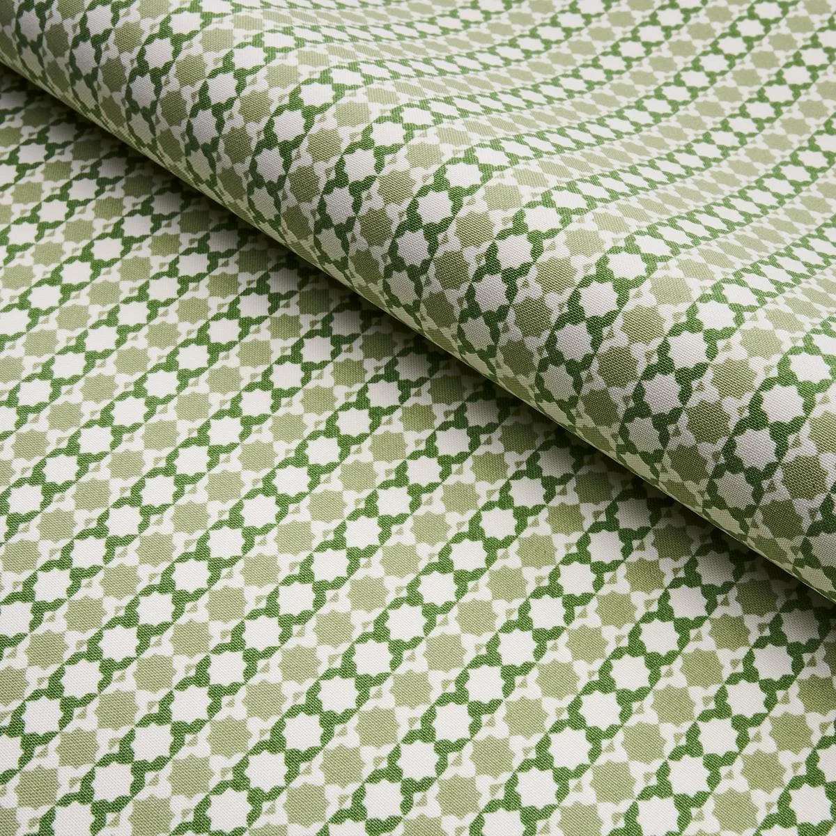 Schumacher 180751 Posy Indoor/Outdoor Leaf Green fabric swatch
