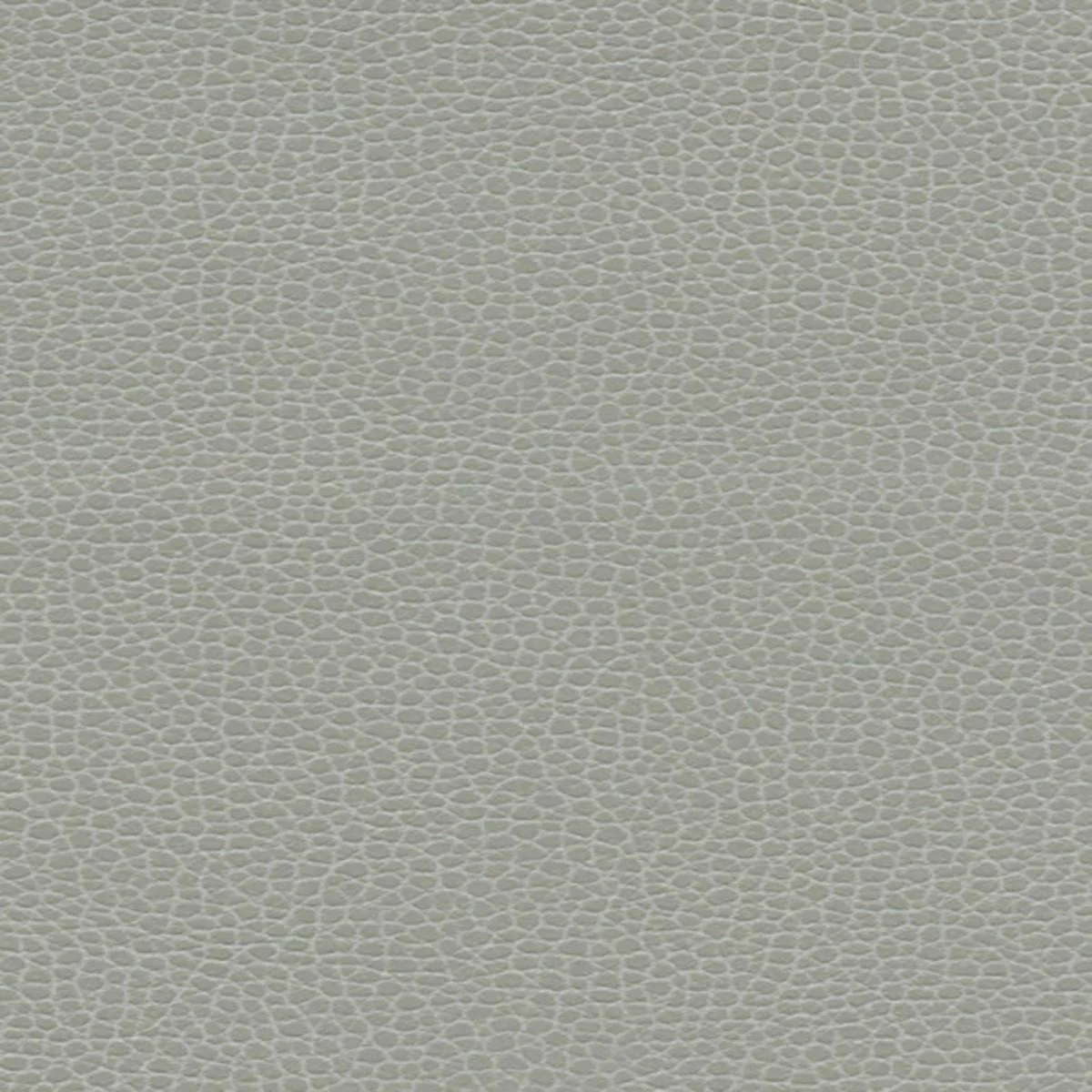 Schumacher 363-5818 Promessa Ash fabric swatch