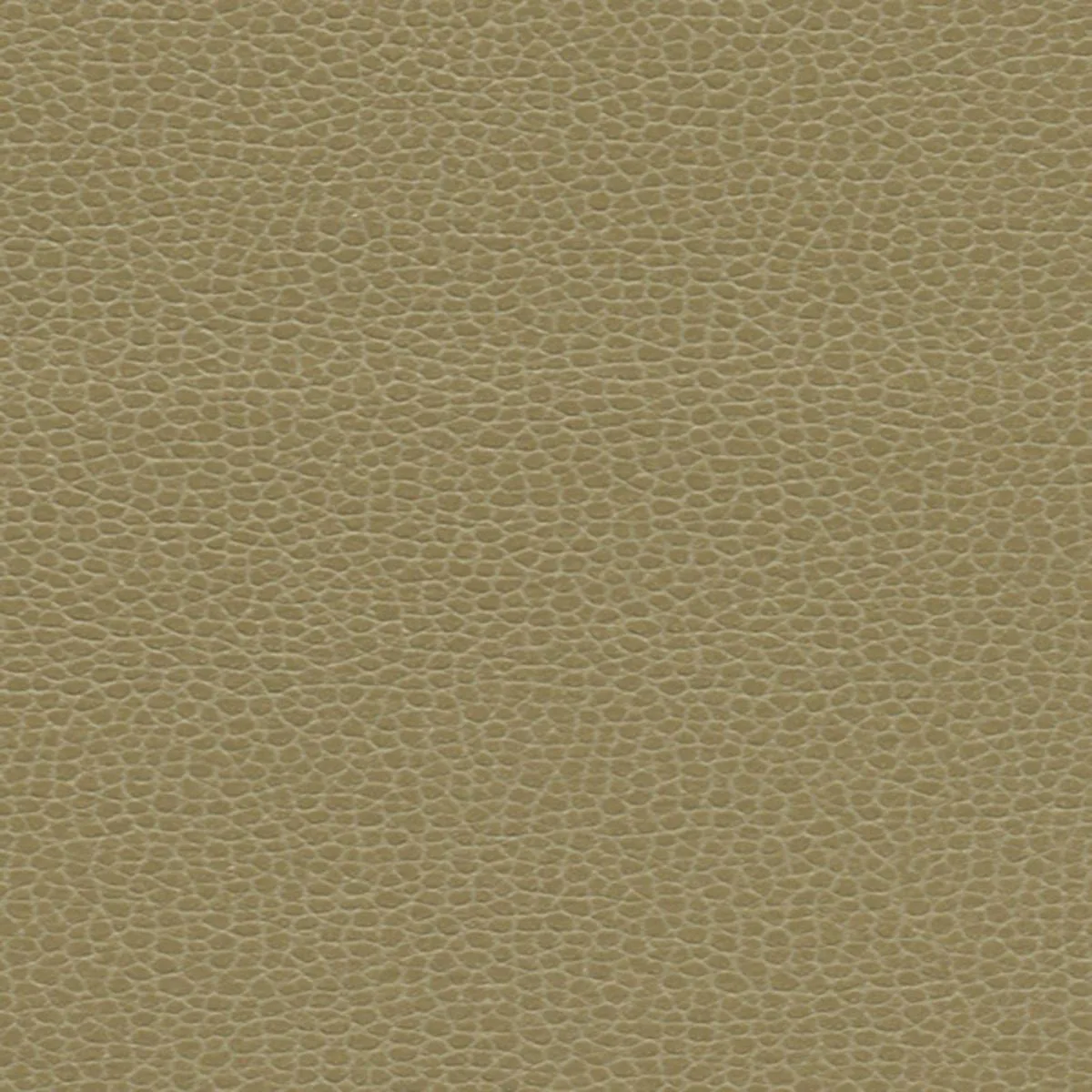 Schumacher 363-3148 Promessa Briarwood fabric swatch