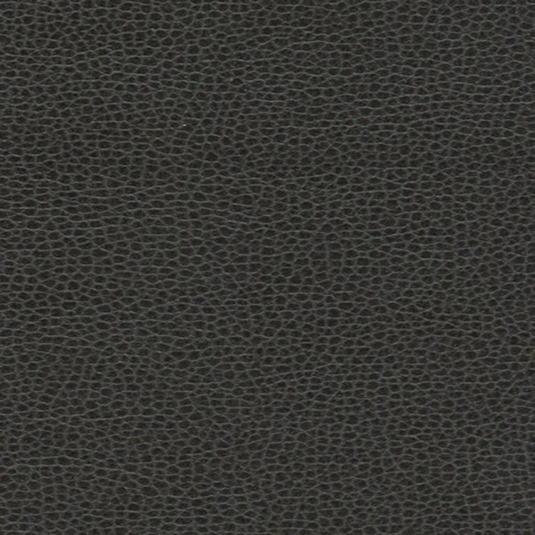 Schumacher 363-5845 Promessa Ebony fabric swatch