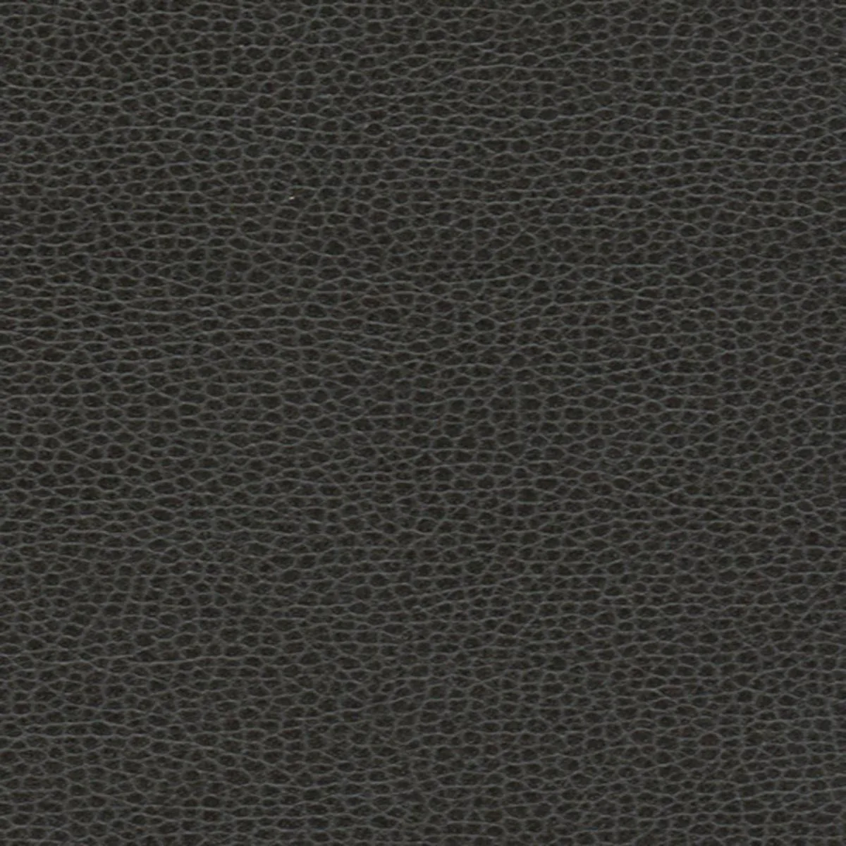 Schumacher 363-5845 Promessa Ebony fabric swatch