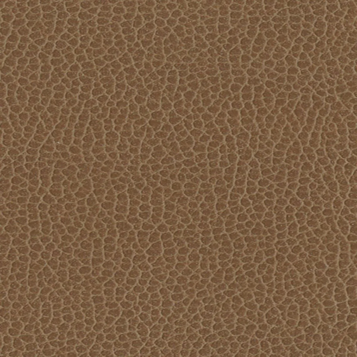 Schumacher 363-3141 Promessa Fields fabric swatch