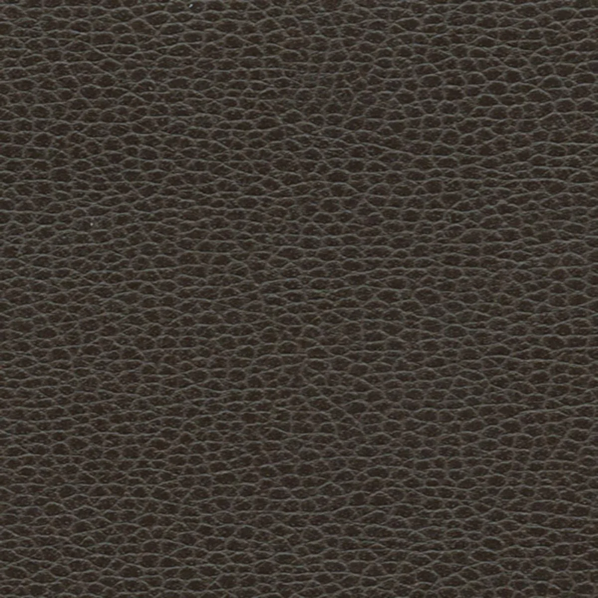 Schumacher 363-3037 Promessa Horsehair fabric swatch