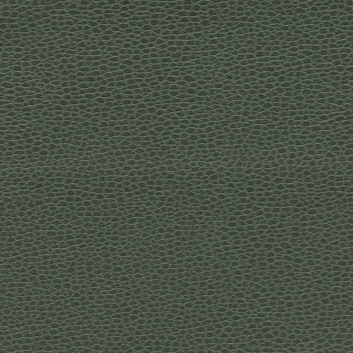 Schumacher 363-4516 Promessa Hunter fabric swatch