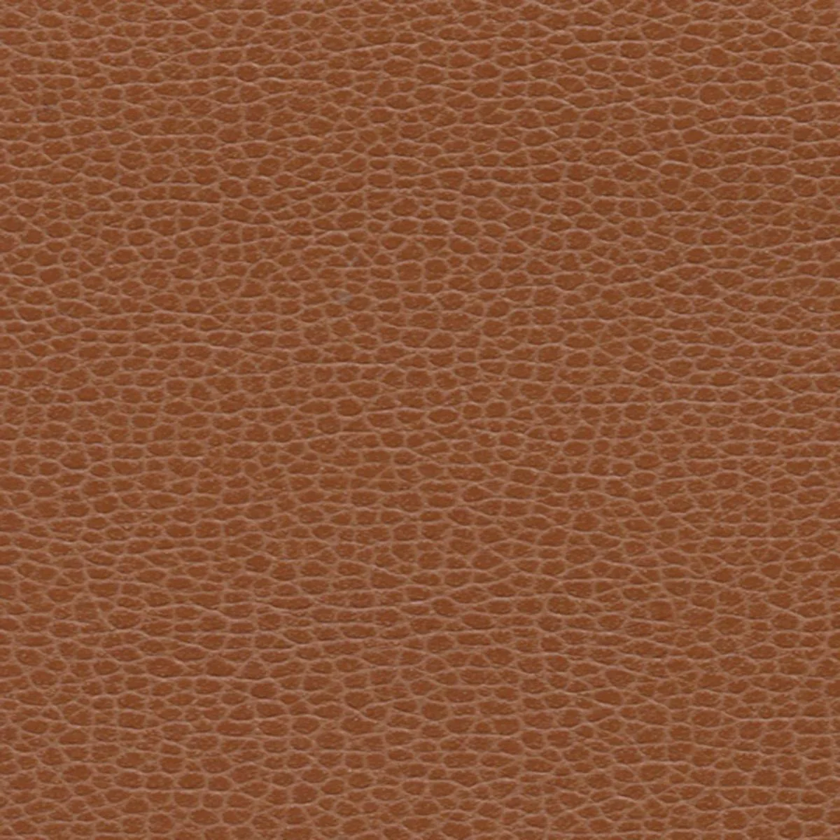 Schumacher 363-3144 Promessa Leather fabric swatch