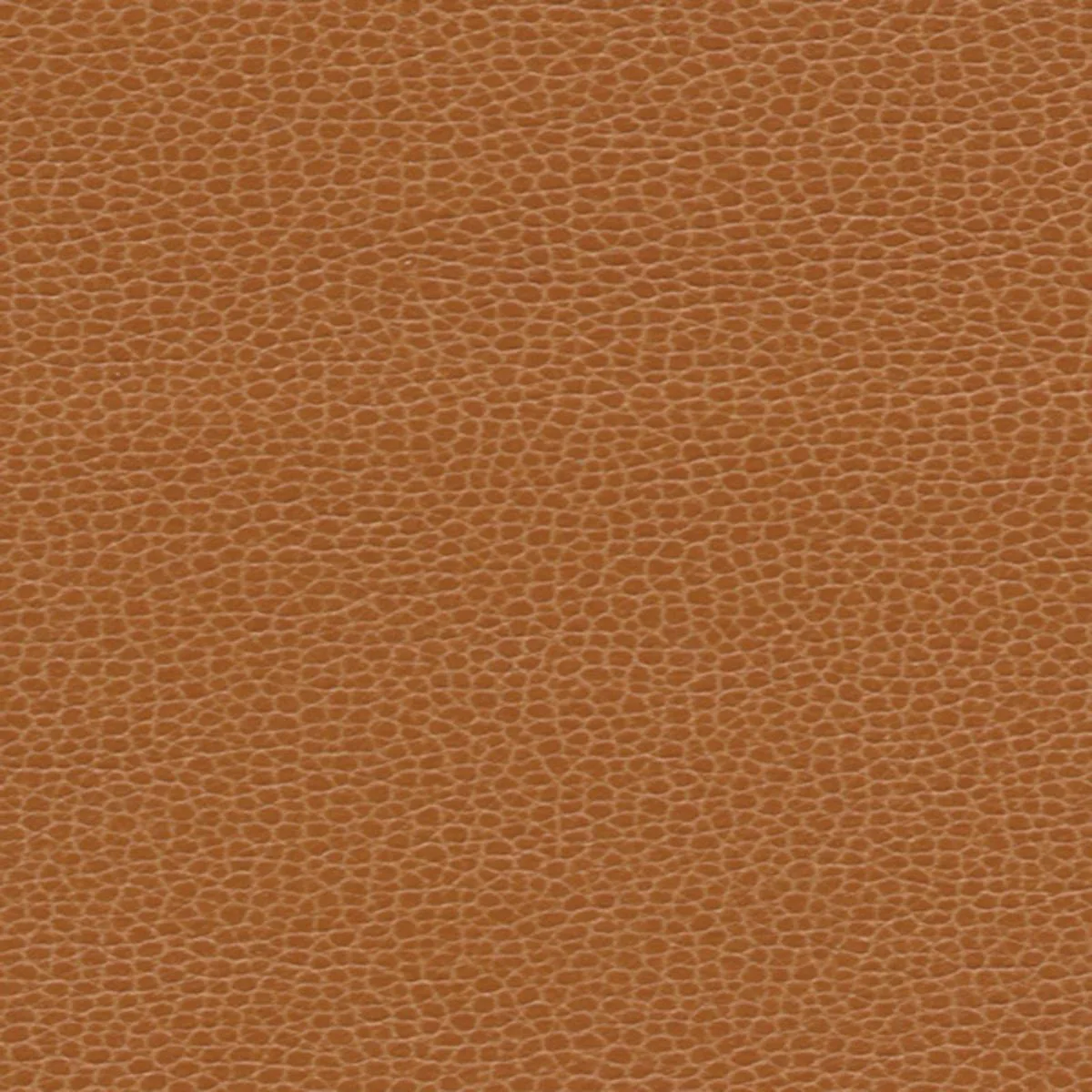 Schumacher 363-3140 Promessa Saddle fabric swatch