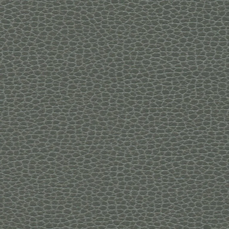 Schumacher 363-5817 Promessa Shale fabric swatch