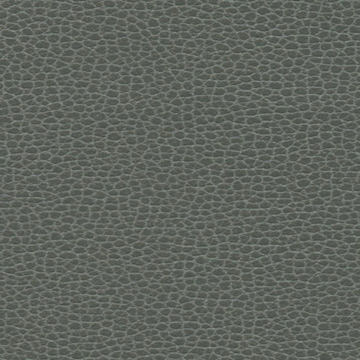 Schumacher 363-5817 Promessa Shale fabric swatch