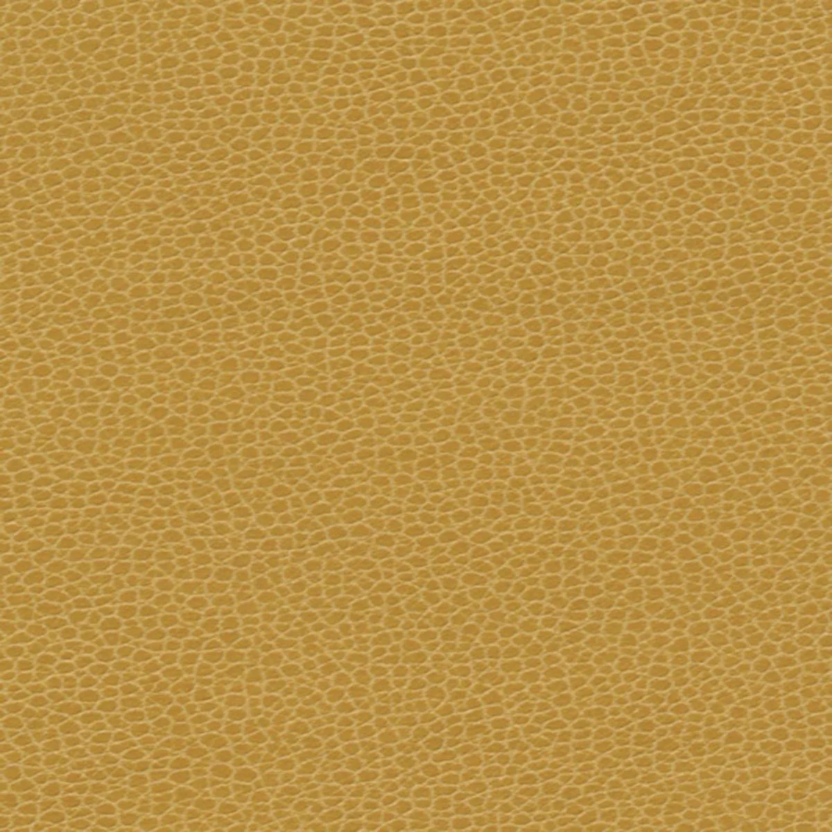 Schumacher 363-5258 Promessa Sunshower fabric swatch