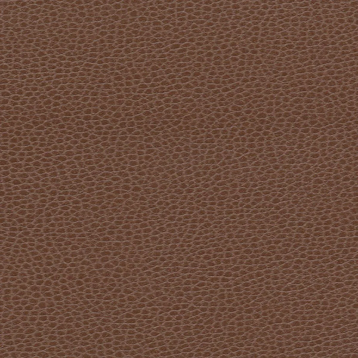 Schumacher 363-3143 Promessa Tudor fabric swatch