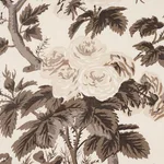 Schumacher 174450 Pyne Hollyhock Charcoal fabric swatch