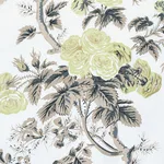 Schumacher 174455 Pyne Hollyhock Green Tea fabric swatch