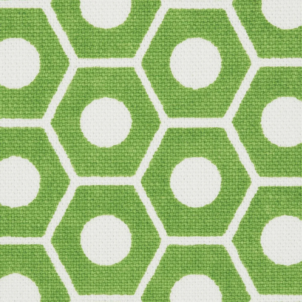 Schumacher 177075 Queen B Green fabric swatch