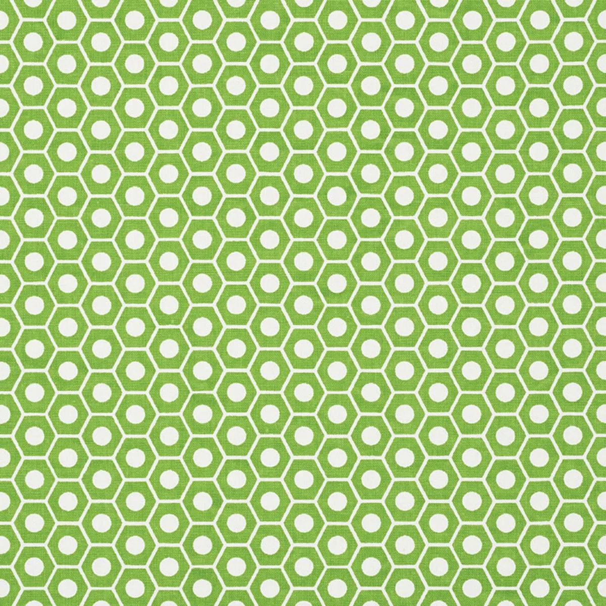 Schumacher 177075 Queen B Green fabric swatch
