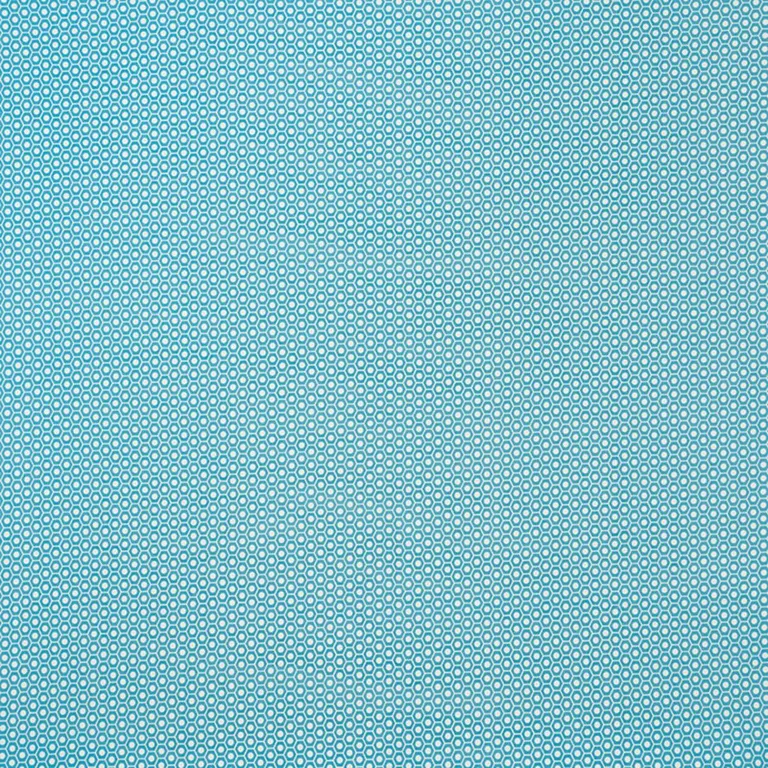 Schumacher 176563 Queen B Ii Indoor/Outdoor Aqua fabric swatch