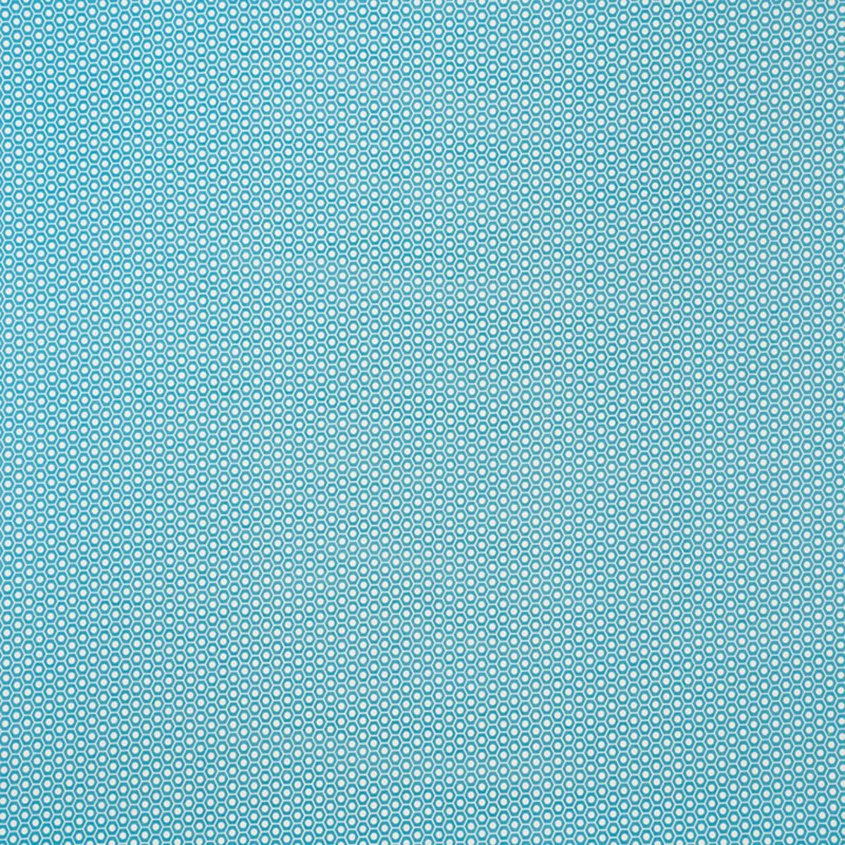Schumacher 176563 Queen B Ii Indoor/Outdoor Aqua fabric swatch