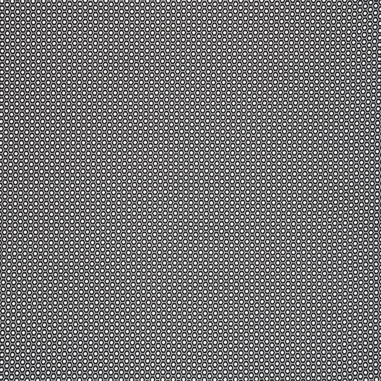 Schumacher 176566 Queen B Ii Indoor/Outdoor Black fabric swatch