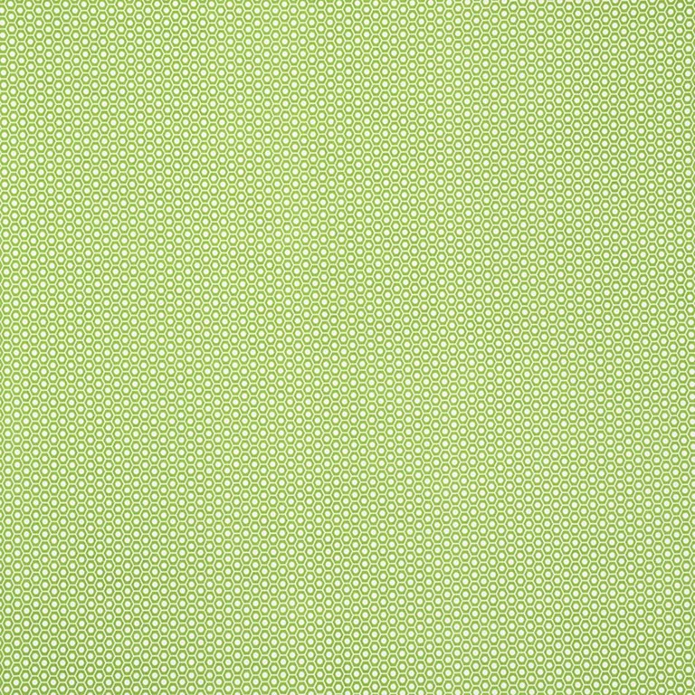 Schumacher 176560 Queen B Ii Indoor/Outdoor Green fabric swatch