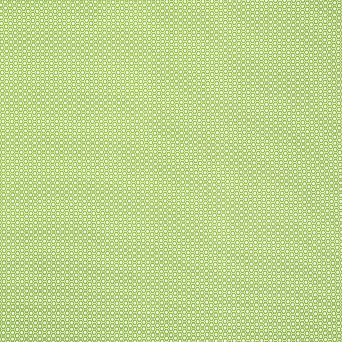 Schumacher 176560 Queen B Ii Indoor/Outdoor Green fabric swatch