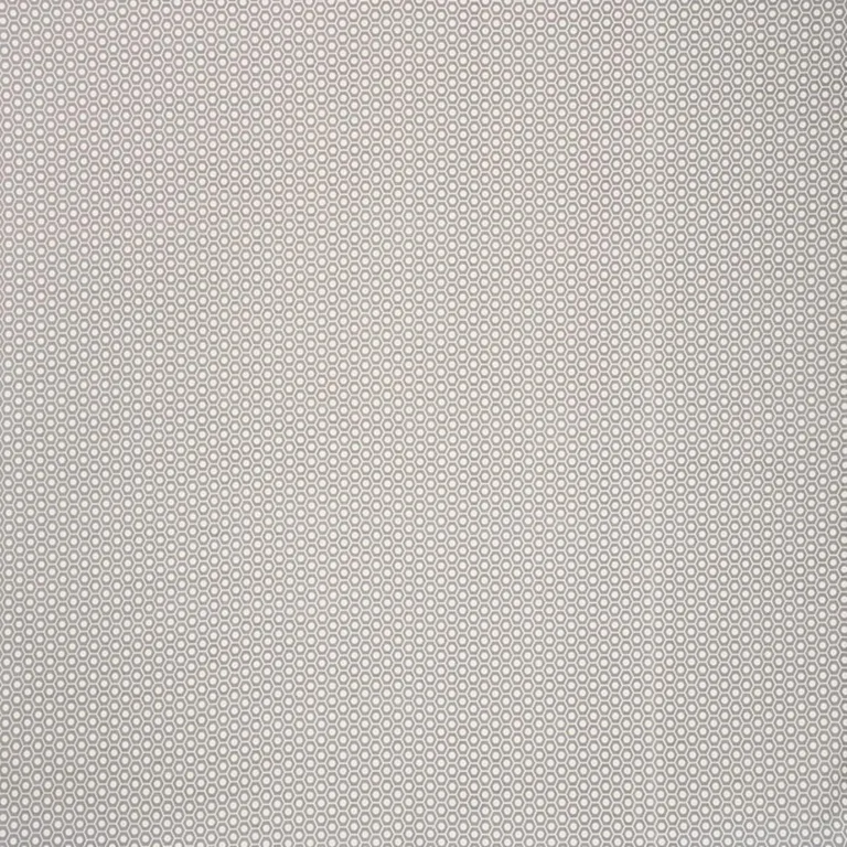 Schumacher 176562 Queen B Ii Indoor/Outdoor Grey fabric swatch