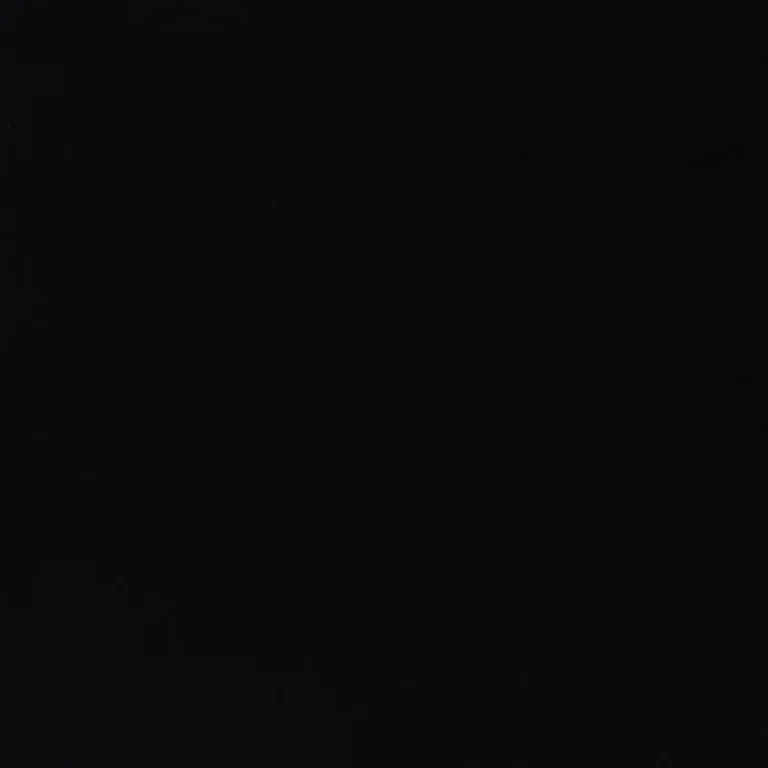 Schumacher 71052 Ravello Indoor/Outdoor Black fabric swatch