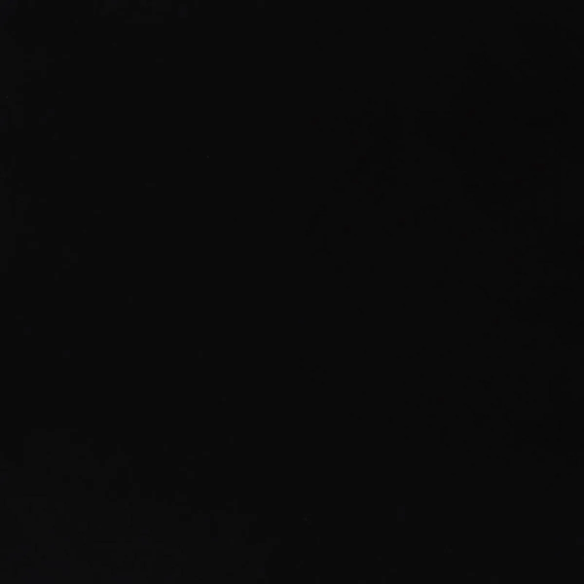 Schumacher 71052 Ravello Indoor/Outdoor Black fabric swatch