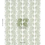 Schumacher 182530 Raven Woods Green fabric swatch