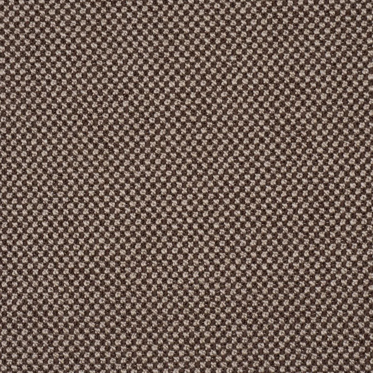 Schumacher 86264 Raye Performance Brown fabric swatch