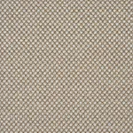 Schumacher 86262 Raye Performance Sand fabric swatch