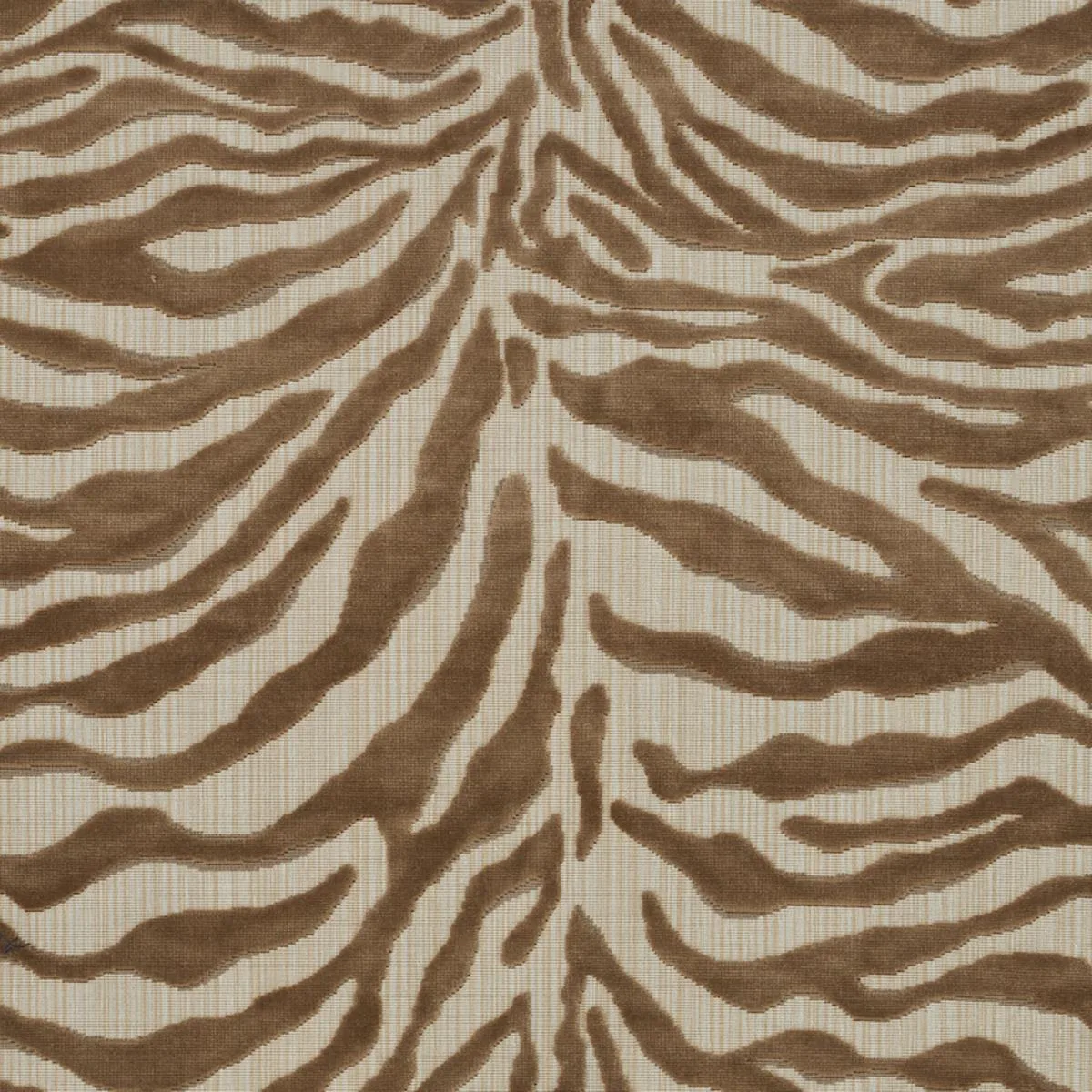 Schumacher 77770 Regine Strie Velvet Beige fabric swatch
