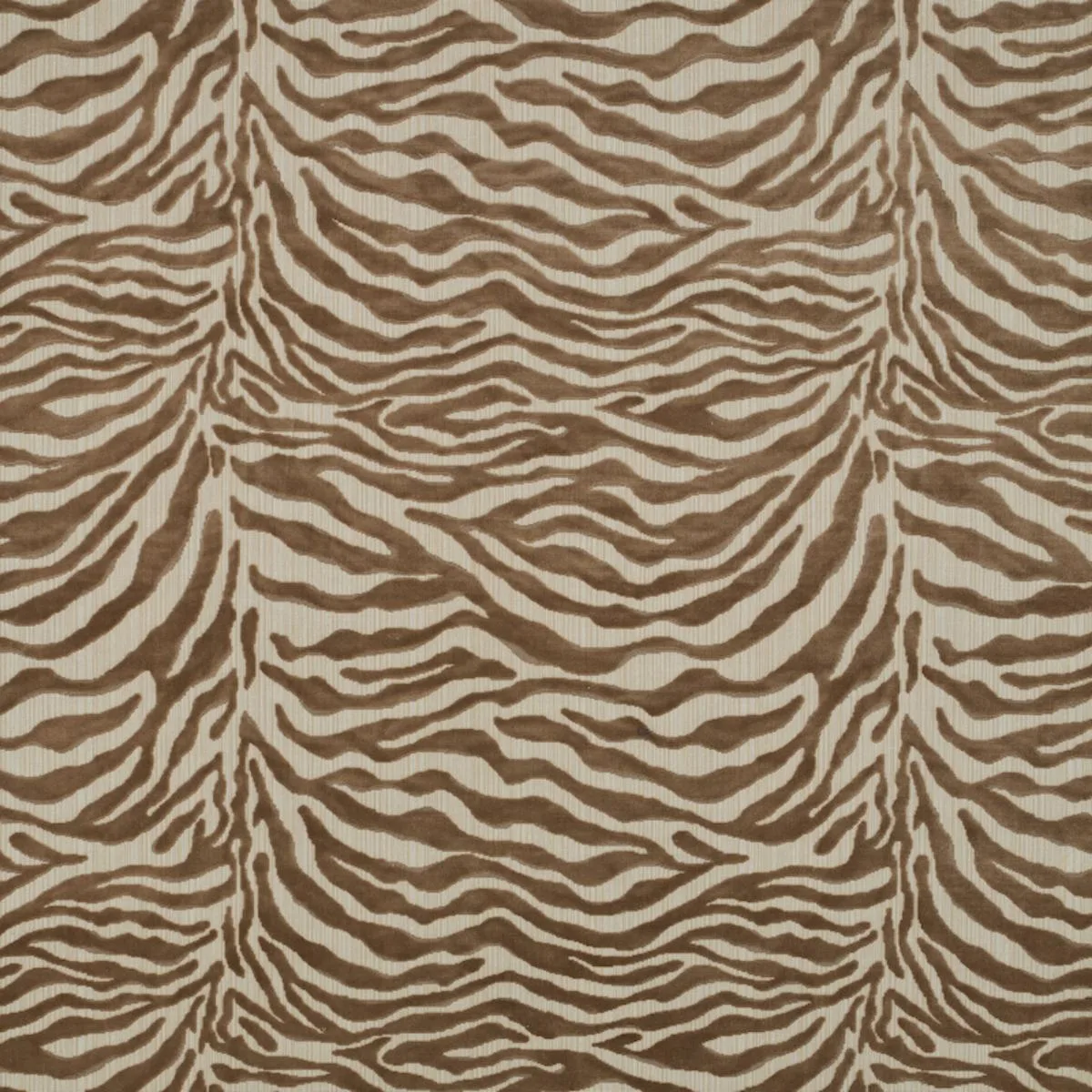 Schumacher 77770 Regine Strie Velvet Beige fabric swatch