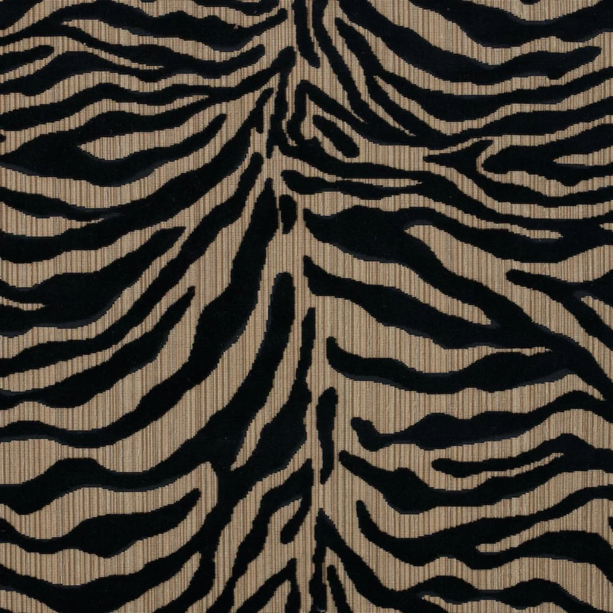 Schumacher 77771 Regine Strie Velvet Ebony fabric swatch