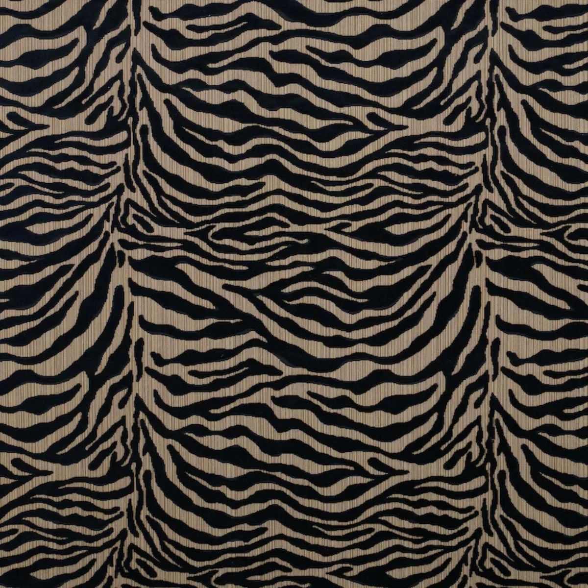 Schumacher 77771 Regine Strie Velvet Ebony fabric swatch