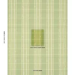 Schumacher 84781 Remmy Hand Woven Stripe Leaf fabric swatch
