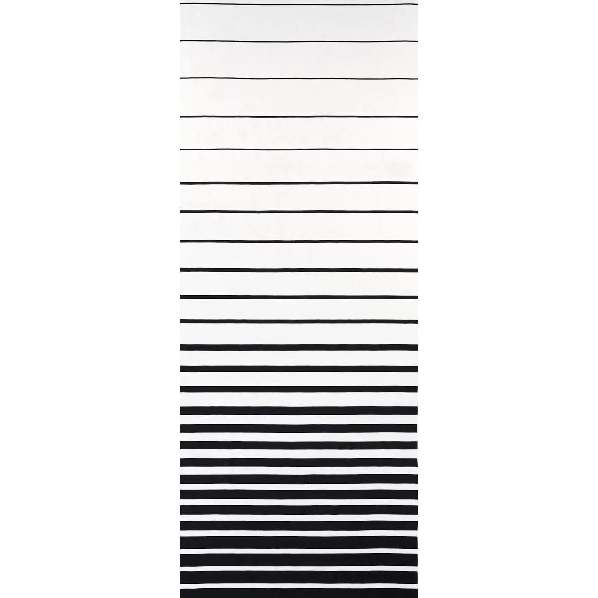 Schumacher 81142 Ribbon Appliqué Panel Black On Ivory fabric swatch