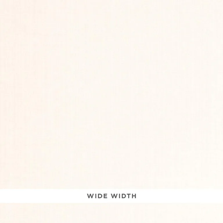 Schumacher 66490 Richelle Sheer Ivory fabric swatch