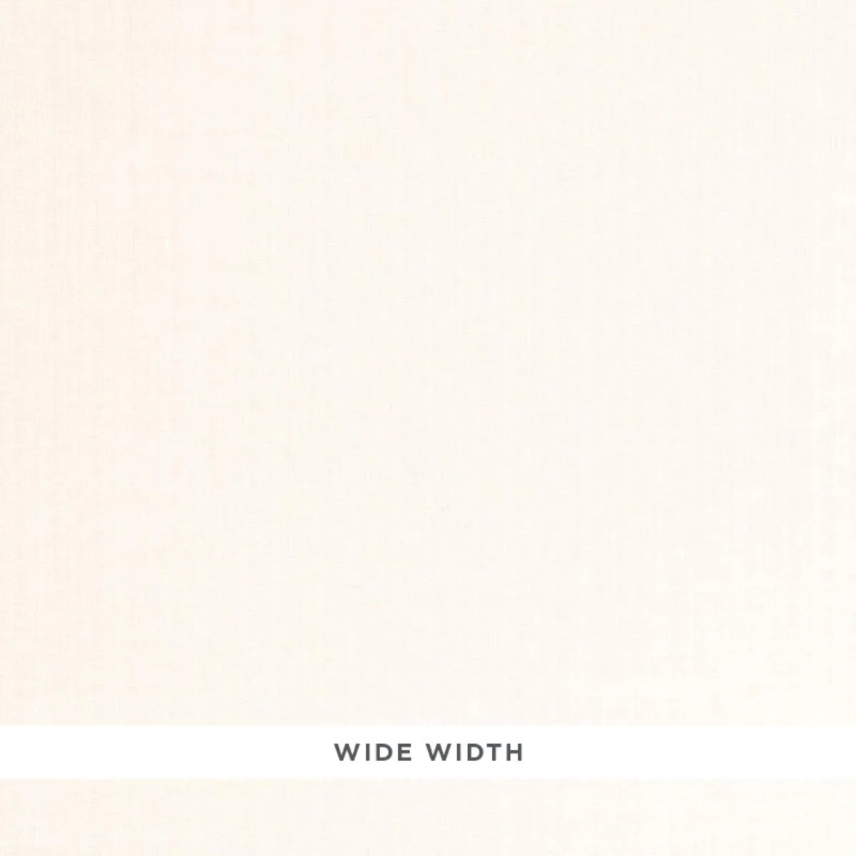 Schumacher 66490 Richelle Sheer Ivory fabric swatch