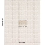 Schumacher 182230 Richter Linen Print Neutral fabric swatch