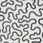 Schumacher 80791 Riley Embroidery Black On Ivory fabric swatch