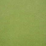 Schumacher 70575 Rocky Performance Velvet Aloe fabric swatch