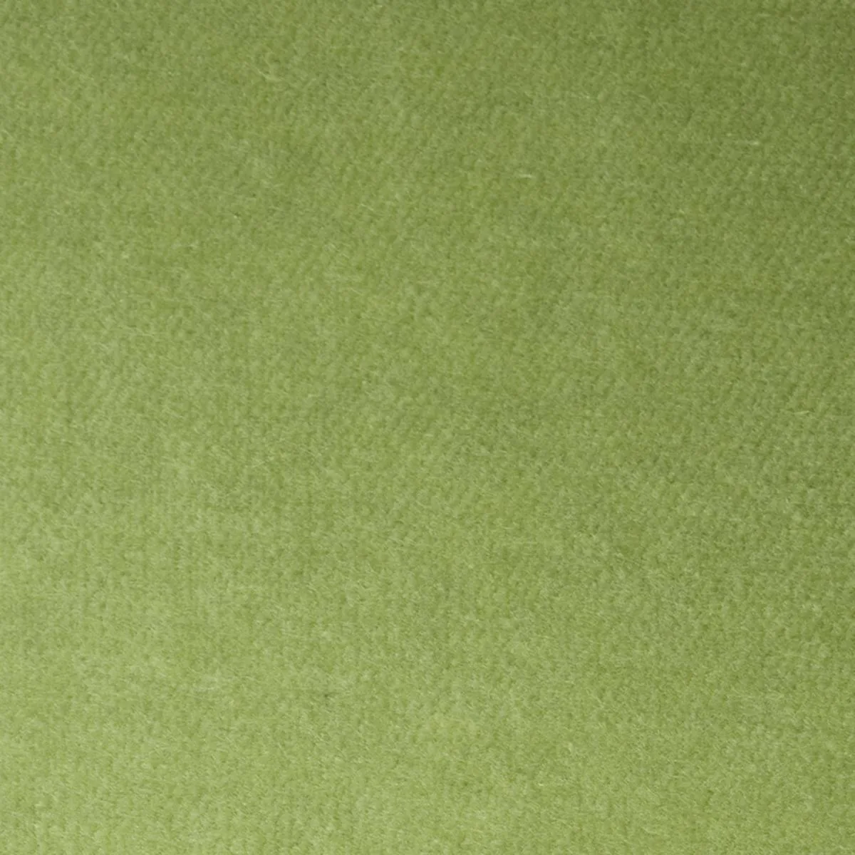 Schumacher 70575 Rocky Performance Velvet Aloe fabric swatch