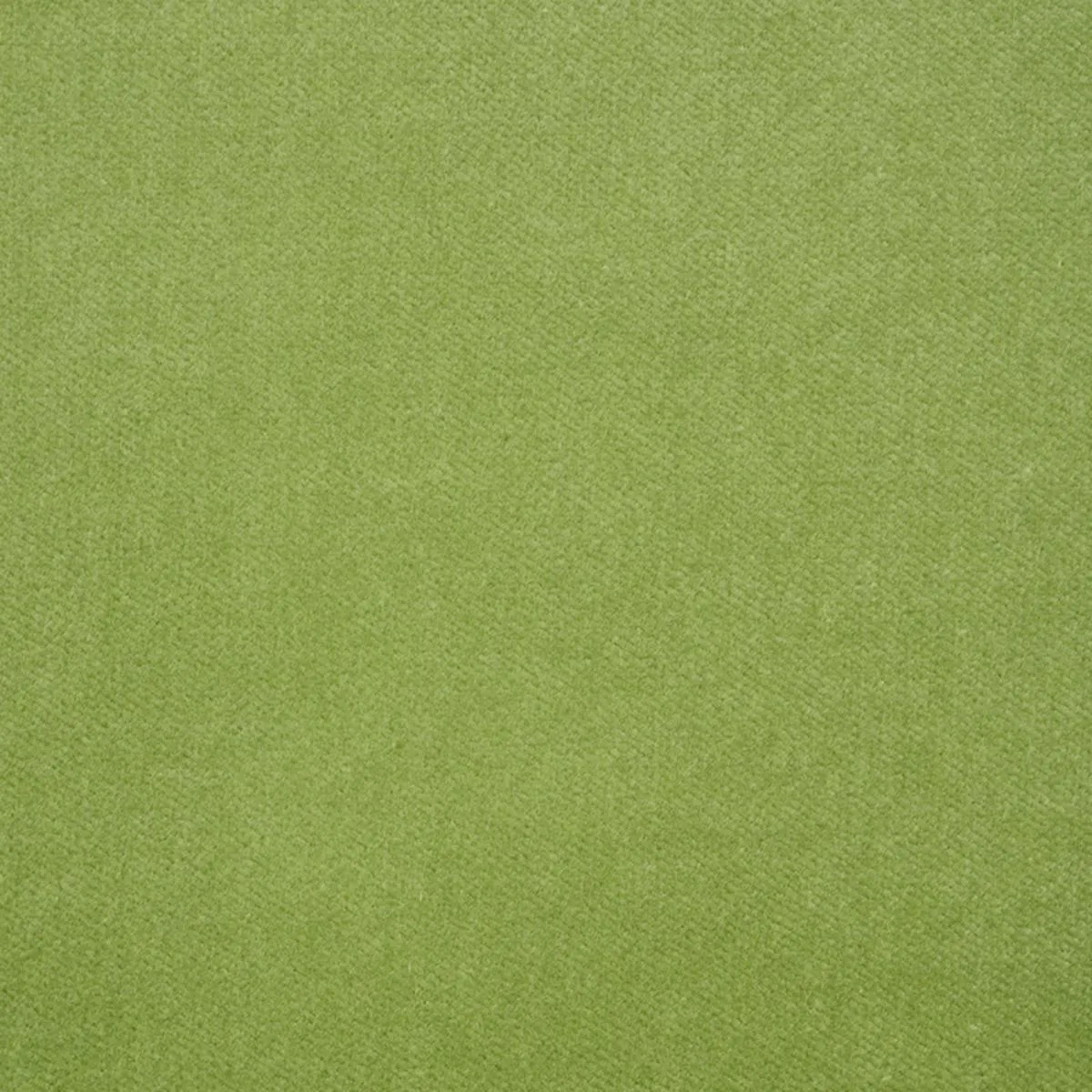 Schumacher 70575 Rocky Performance Velvet Aloe fabric swatch