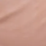 Schumacher 76600 Rocky Performance Velvet Blush fabric swatch