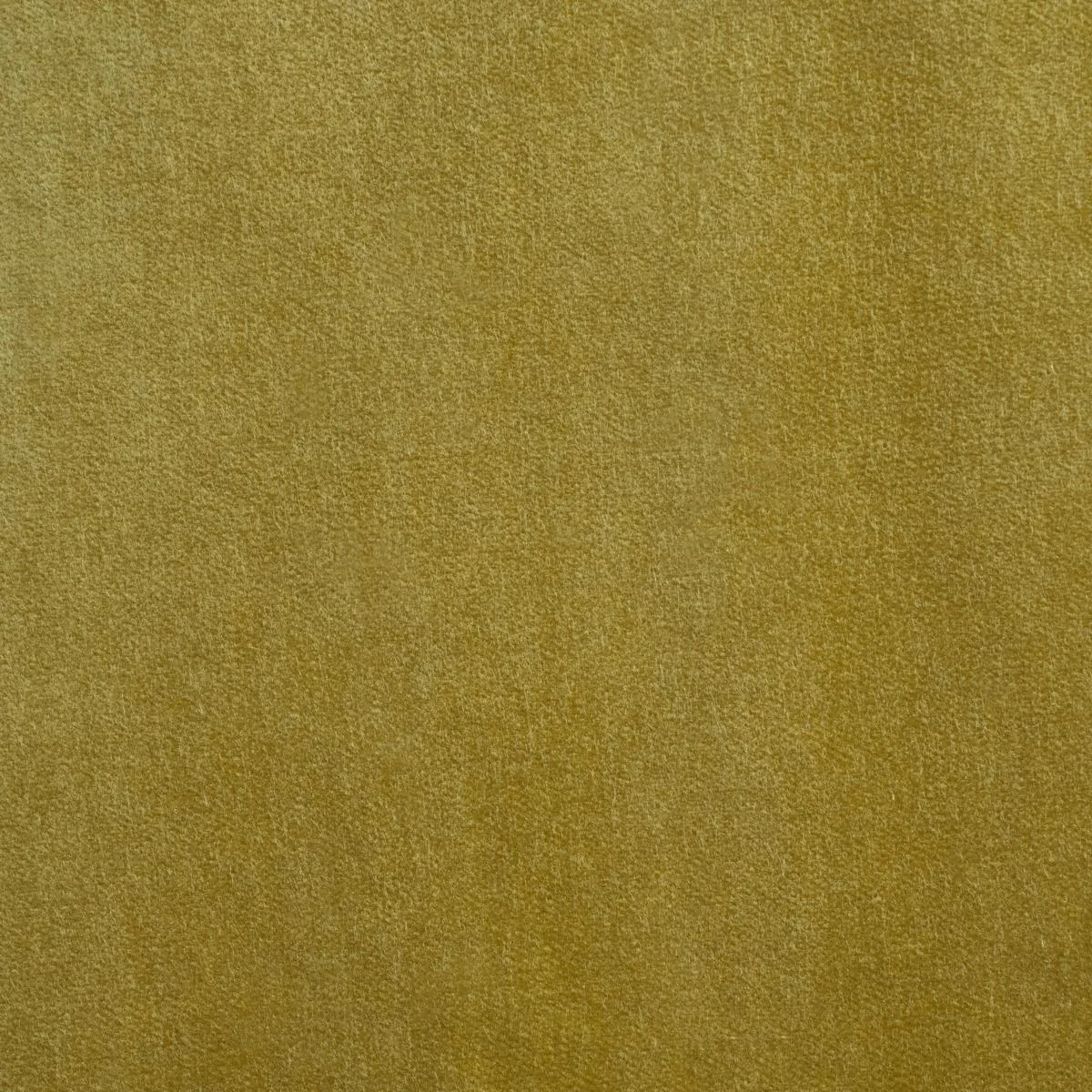 Schumacher 86472 Rocky Performance Velvet Celery fabric swatch