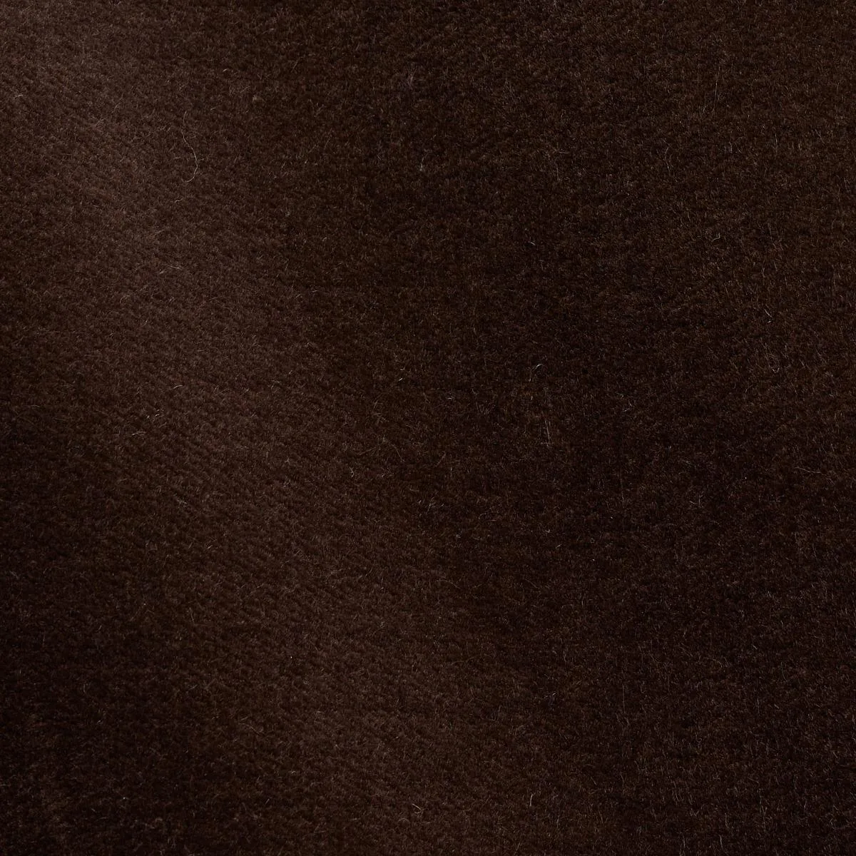Schumacher 70466 Rocky Performance Velvet Espresso fabric swatch