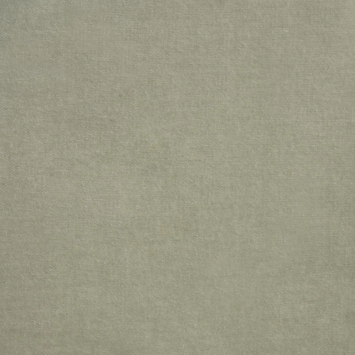 Schumacher 86471 Rocky Performance Velvet Fern fabric swatch