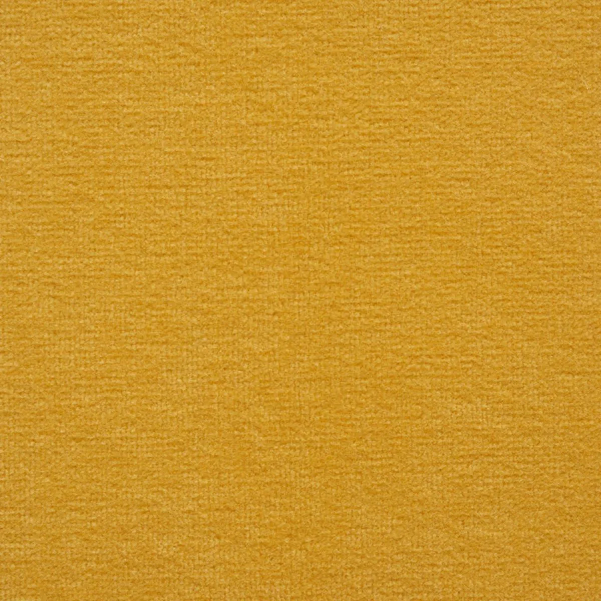 Schumacher 76603 Rocky Performance Velvet Gold fabric swatch